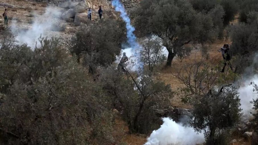 الأمم المتحدة تعرب عن فزعها إزاء قتل الاحتلال لفلسطينية تقطف الزيتون 