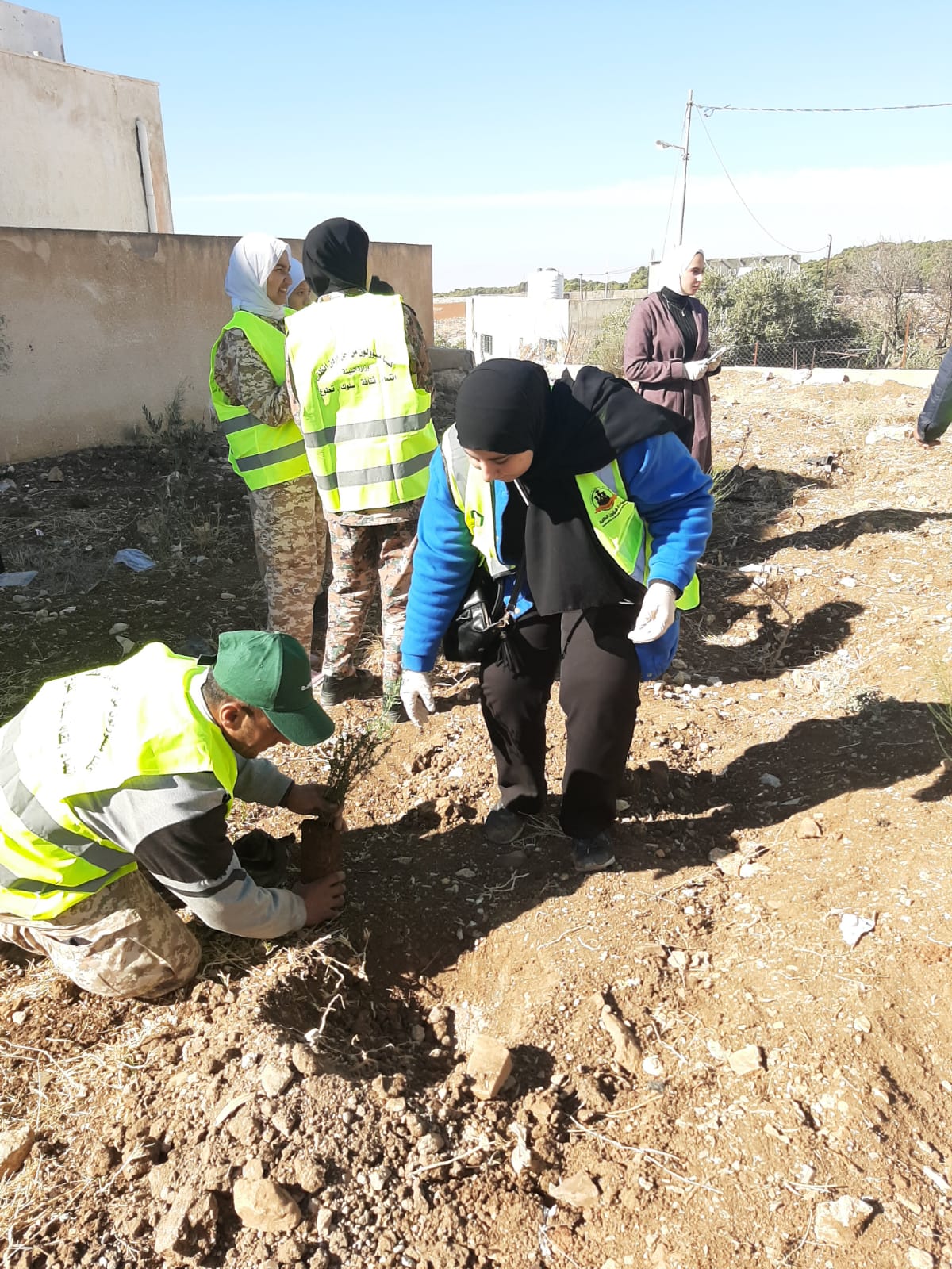 زراعة مئة شجرة حرجية متنوعة في سيل حسبان