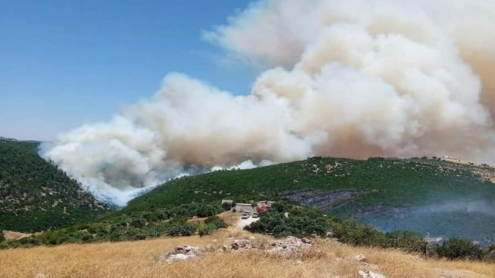 مطالب بتفعيل خطط الطوارئ للحد من الحرائق في عجلون 