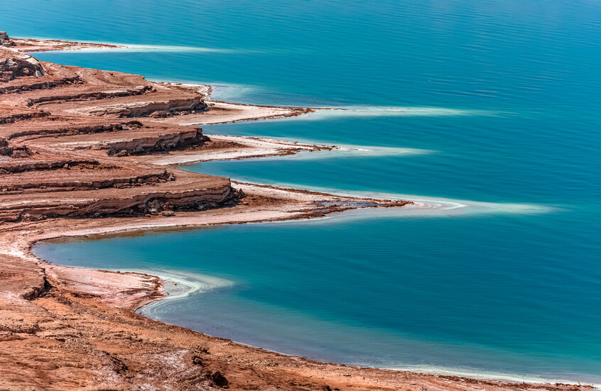 العلماء يبتكرون مستشعرا حيا لمراقبة جودة ماء البحر