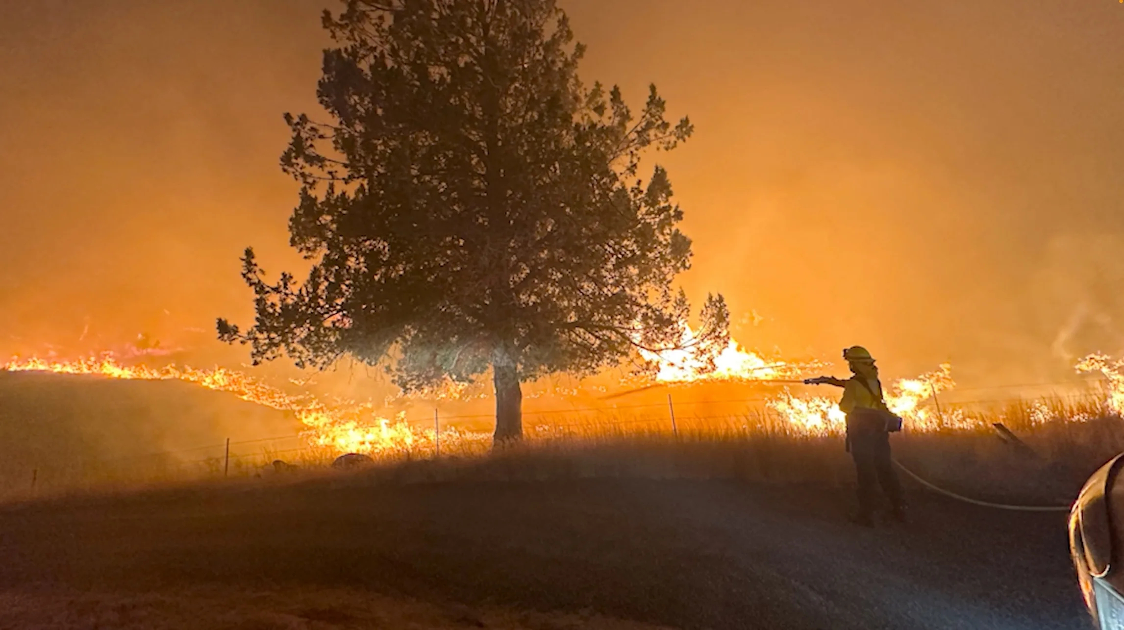 حرائق الغابات في «أوريغون» الأمريكية تدمر مساحة تتجاوز 1500 كيلومتر مربع