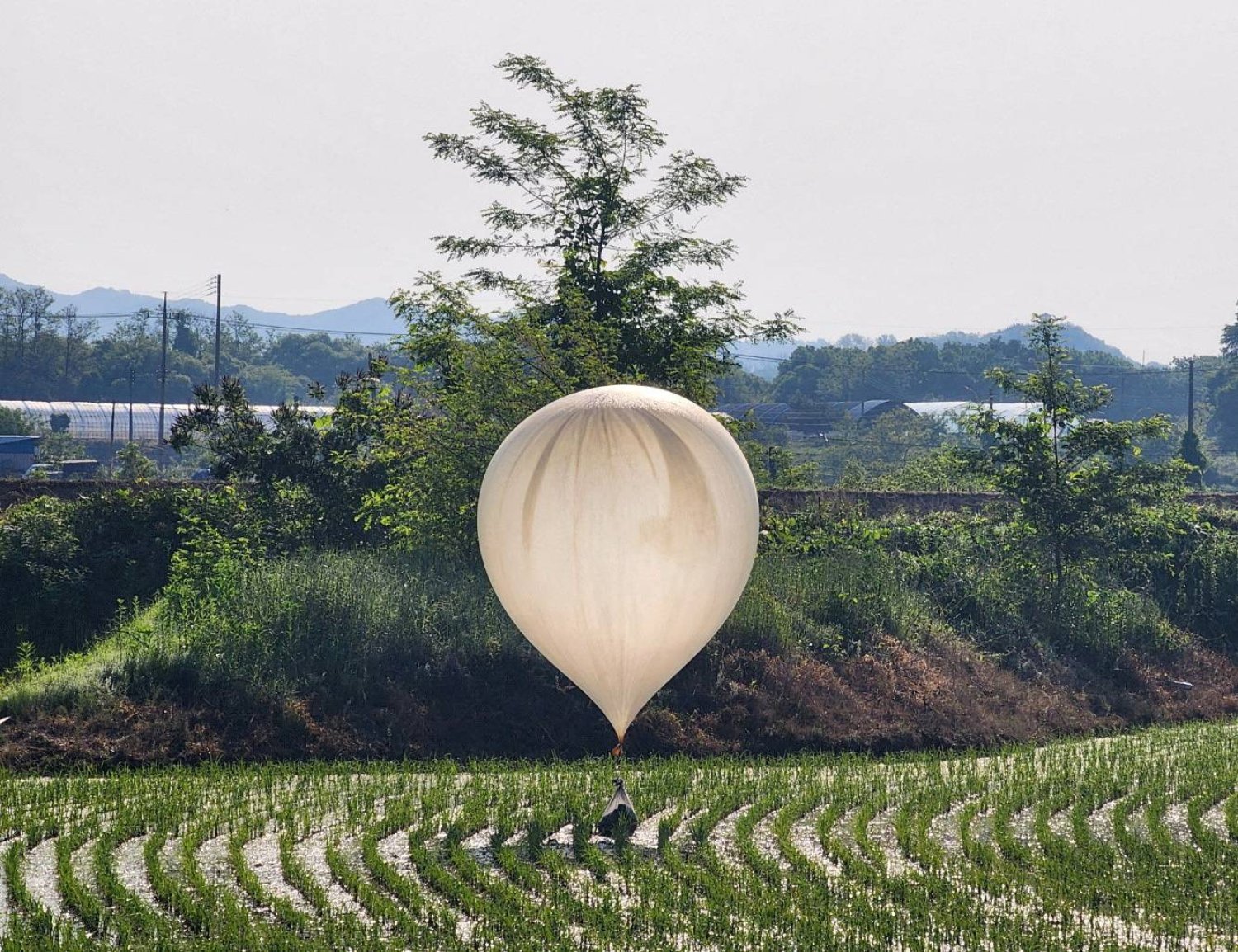 كوريا الجنوبية تتأهب لبالونات نفايات جديدة من الشمال