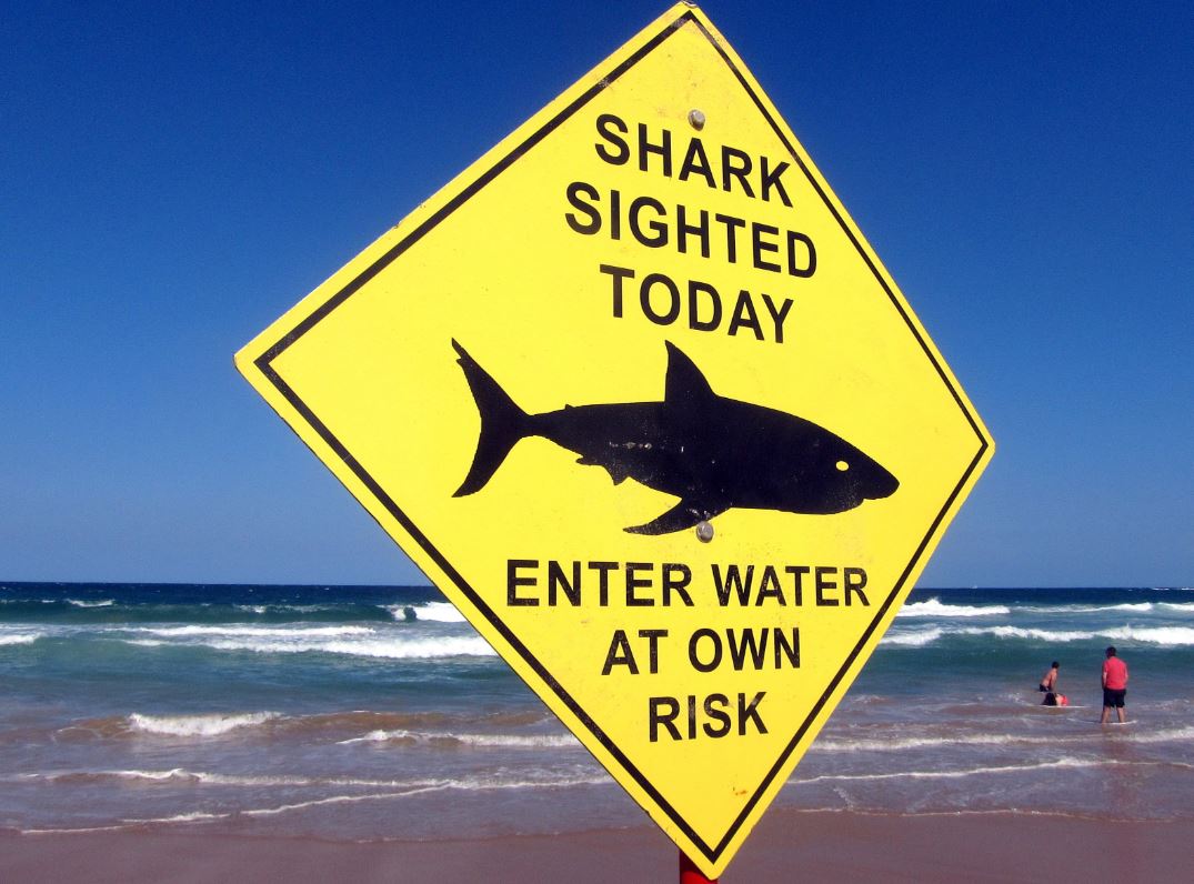 بعد هجوم لأسماك القرش ..  إغلاق بعض شواطئ فلوريدا