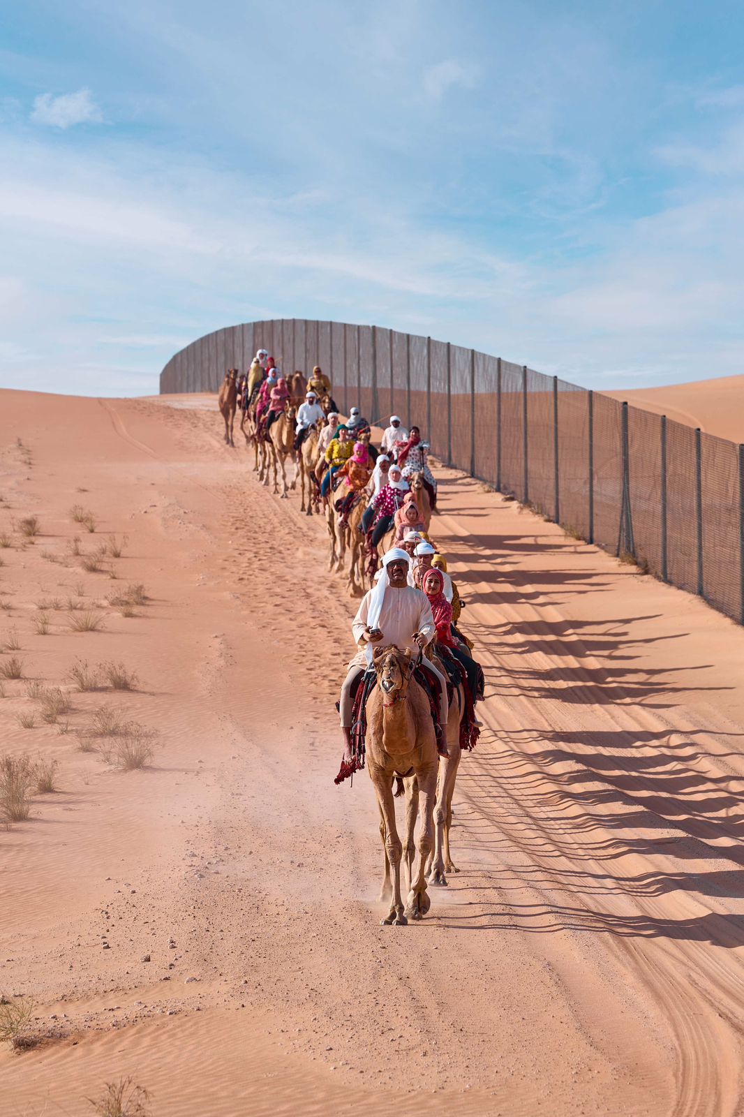 رحلة الهجن تقطع الصحراء الغربية في الطريق إلى وجهتها النهائية